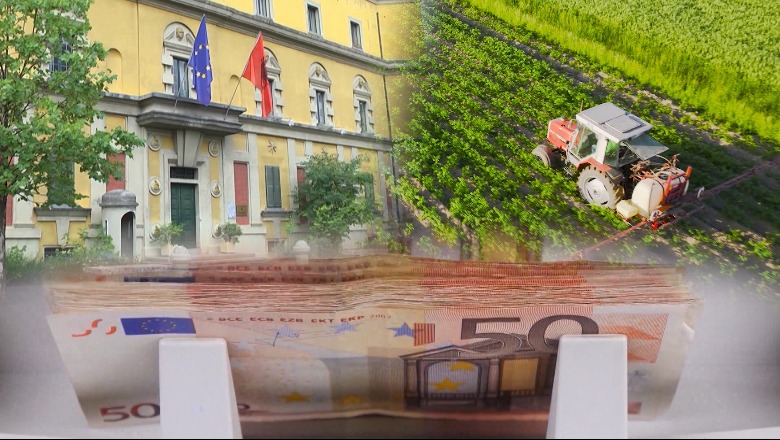 Buxheti do rishikohet për herë tretë në dhjetor, MB kërkon 2 mld lekë shtesë për Skemën Kombëtare